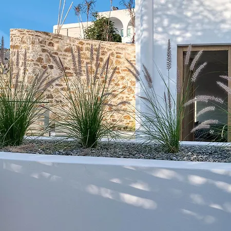 Clementina Paros * ناوسا