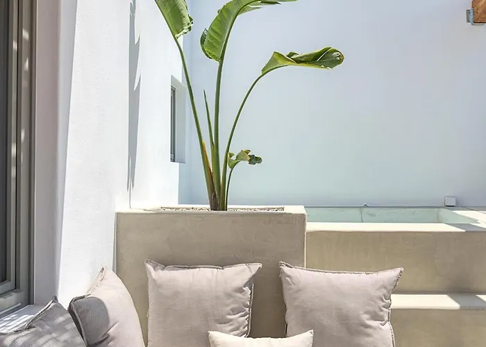 Clementina Paros Naousa